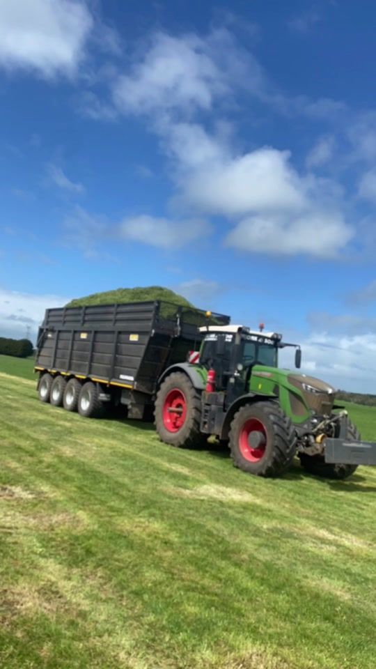 TikTok video thumbnail by mcgrath891