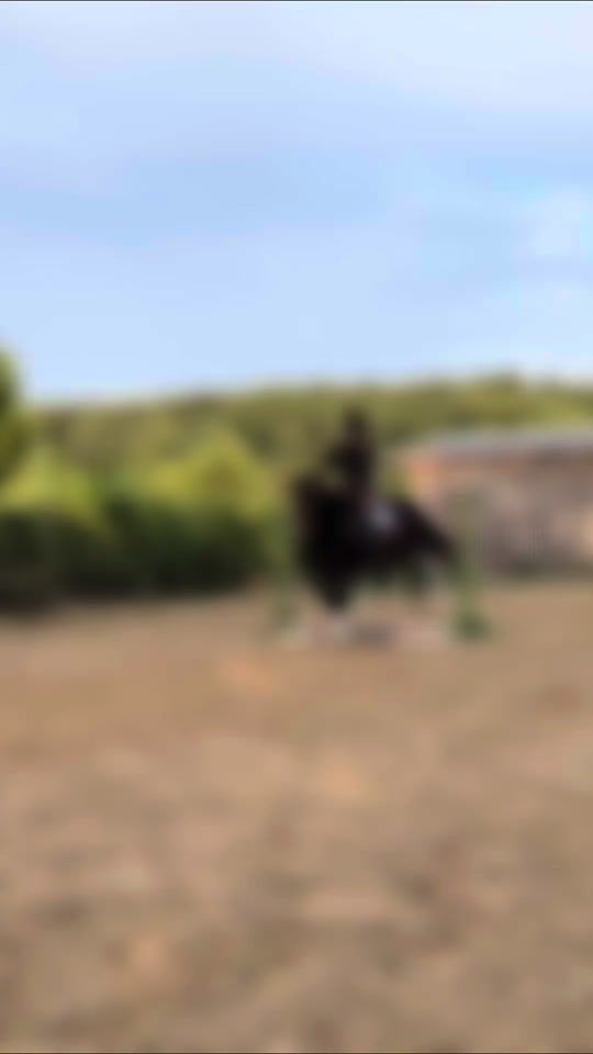 TikTok video thumbnail by realjustride
