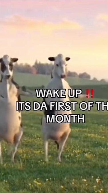 TikTok video thumbnail by itsmeeee733