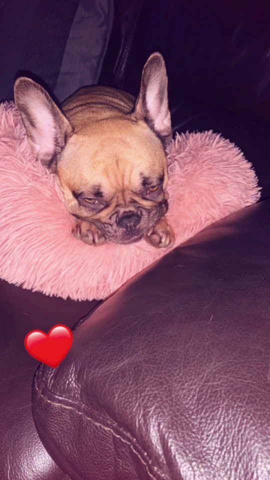 TikTok video thumbnail by jodya512