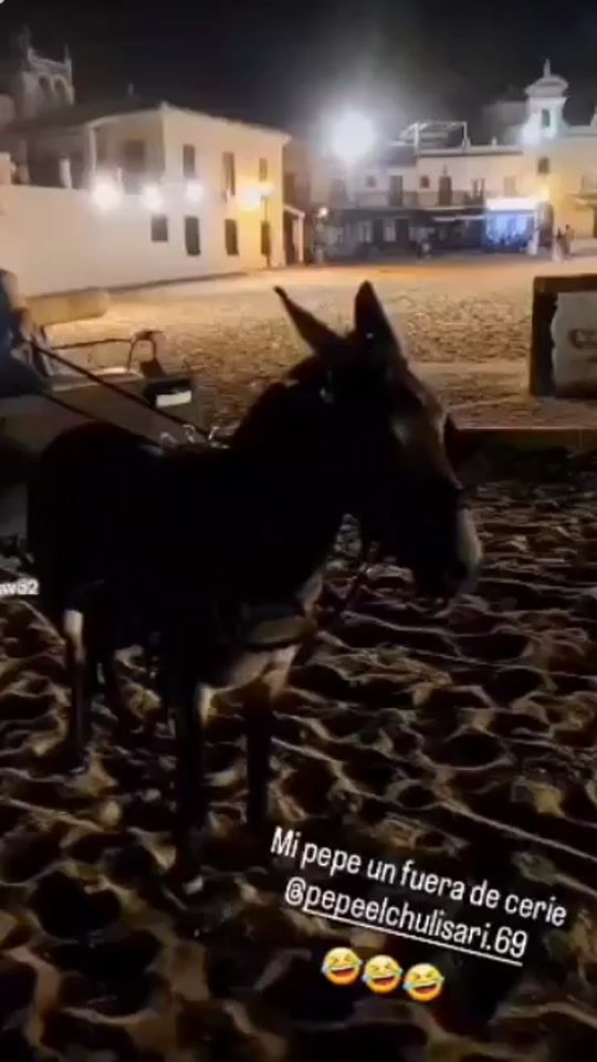 TikTok video thumbnail by cuentaoficialpepe_xulo_