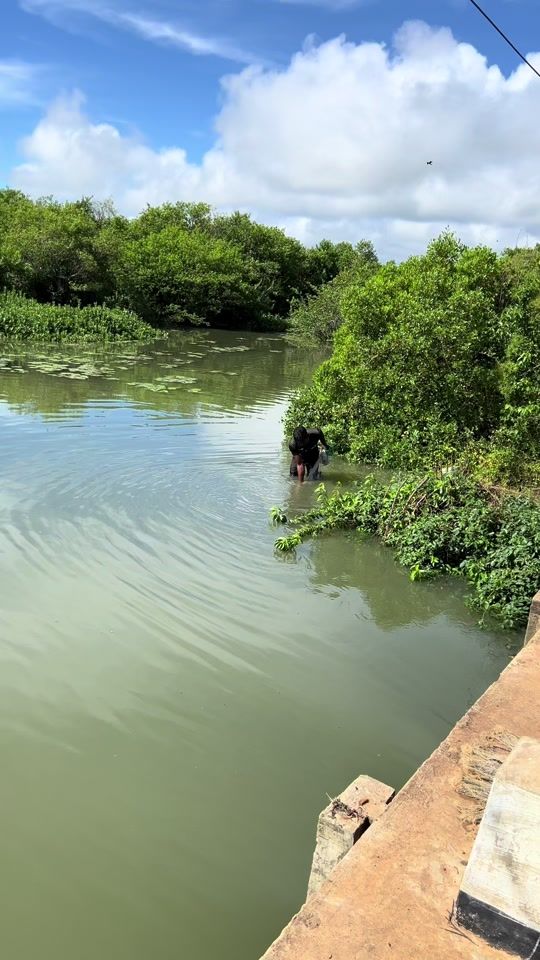 TikTok video thumbnail by rames1204