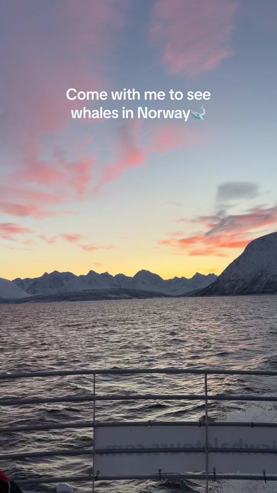 TikTok video thumbnail by hankidd00