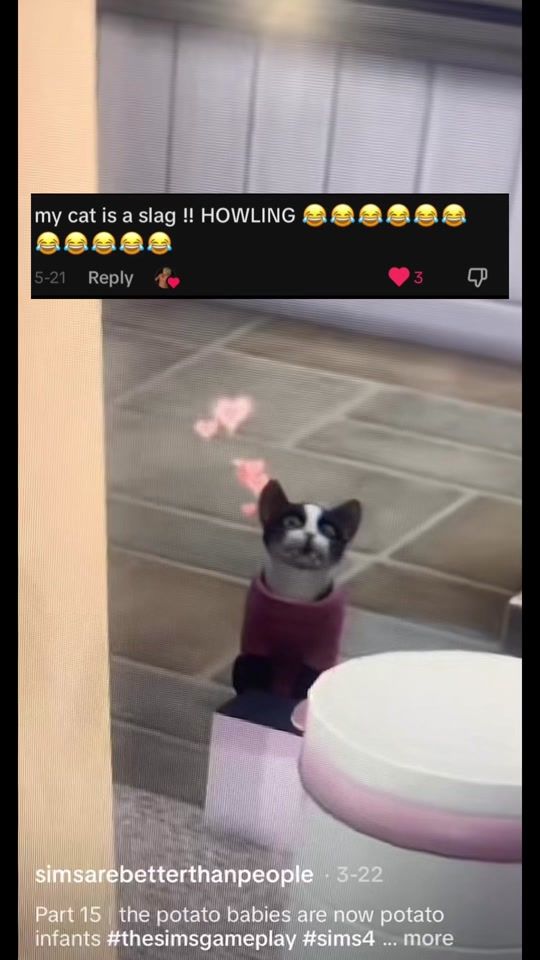 TikTok video thumbnail by simsarebetterthanppl