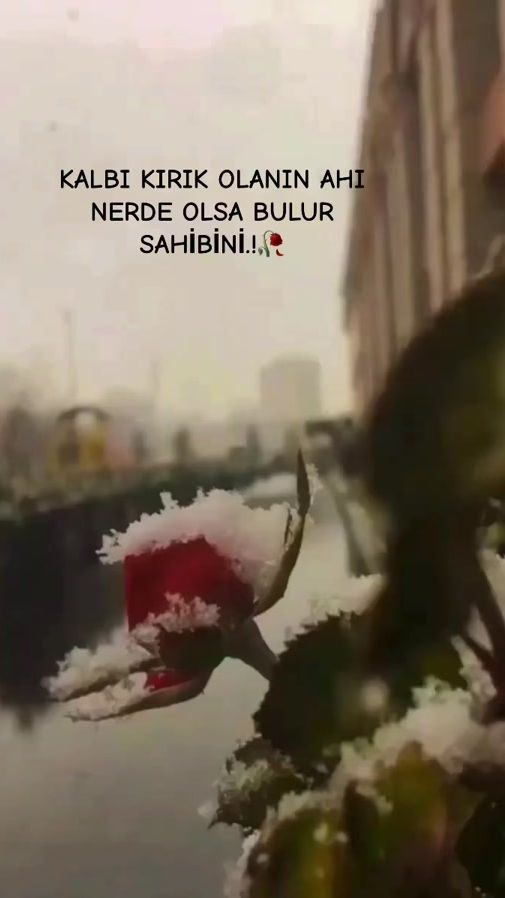 TikTok video thumbnail by hasret_rzgar3