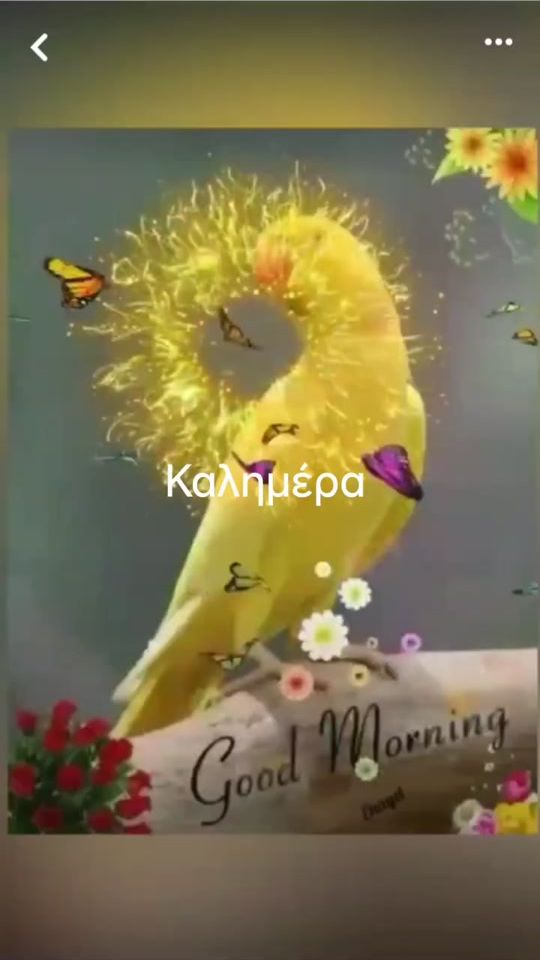 TikTok video thumbnail by konstantinos_pant62