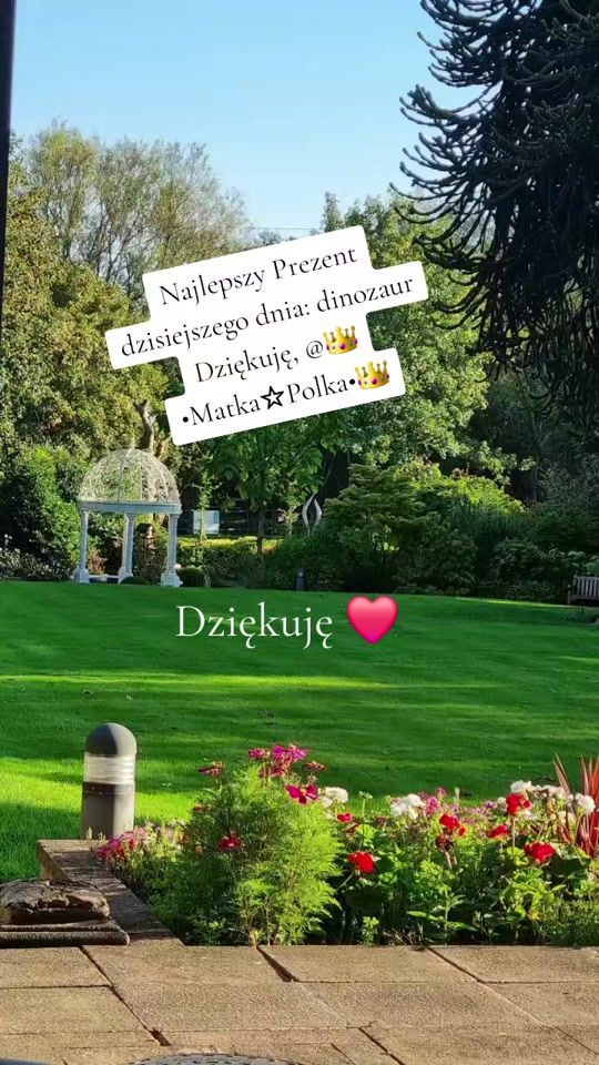 TikTok video thumbnail by iskamapyska