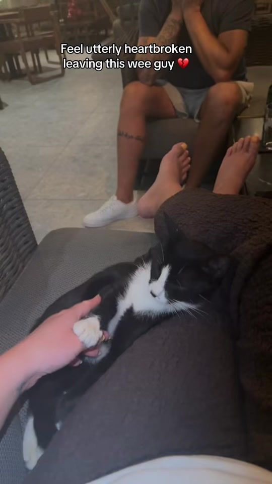 TikTok video thumbnail by meganrodgers51