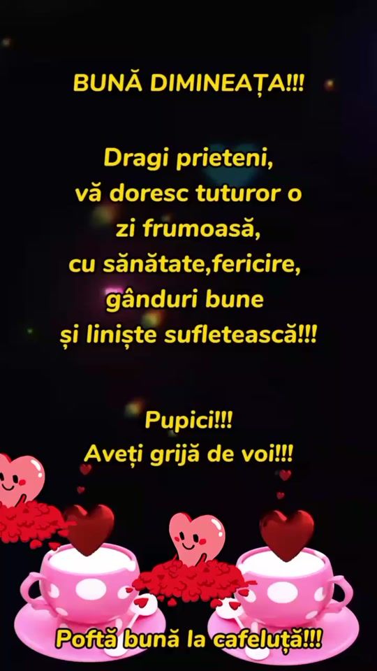 TikTok video thumbnail by licaviorica