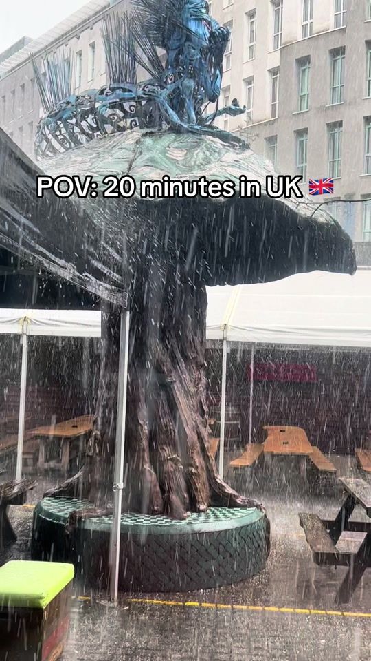 TikTok video thumbnail by fullmoonandatticbar