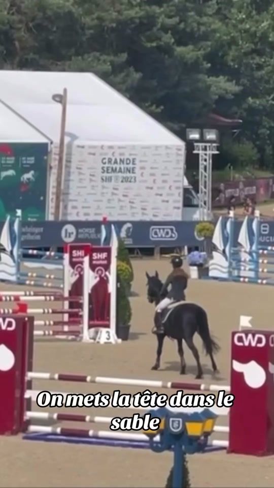 TikTok video thumbnail by lisonrve