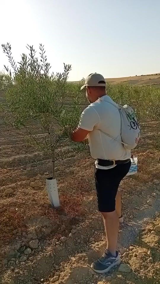 TikTok video thumbnail by diegononocamposre