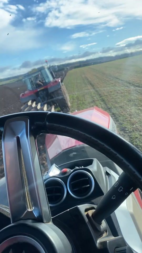 TikTok video thumbnail by oddersthefarmer