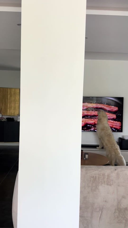 TikTok video thumbnail by rioandco