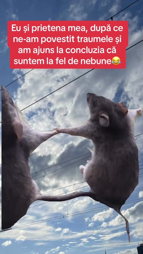 TikTok video thumbnail by aleynahersonly