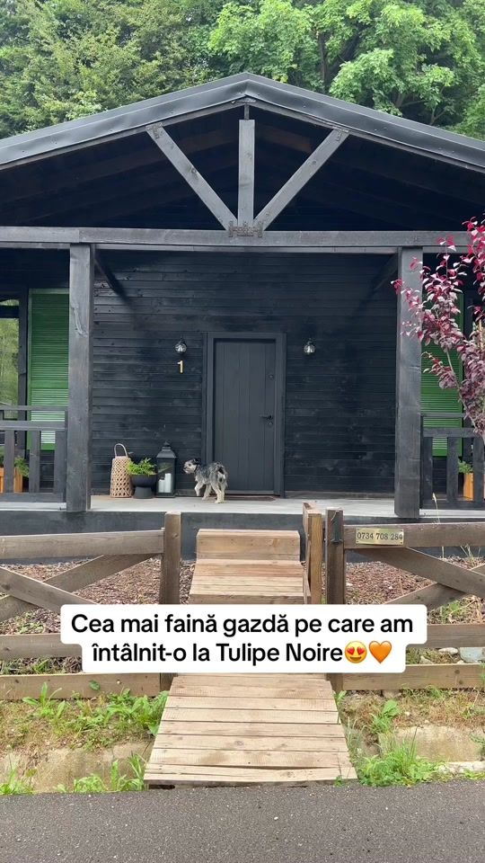 TikTok video thumbnail by cazarifaine.ro