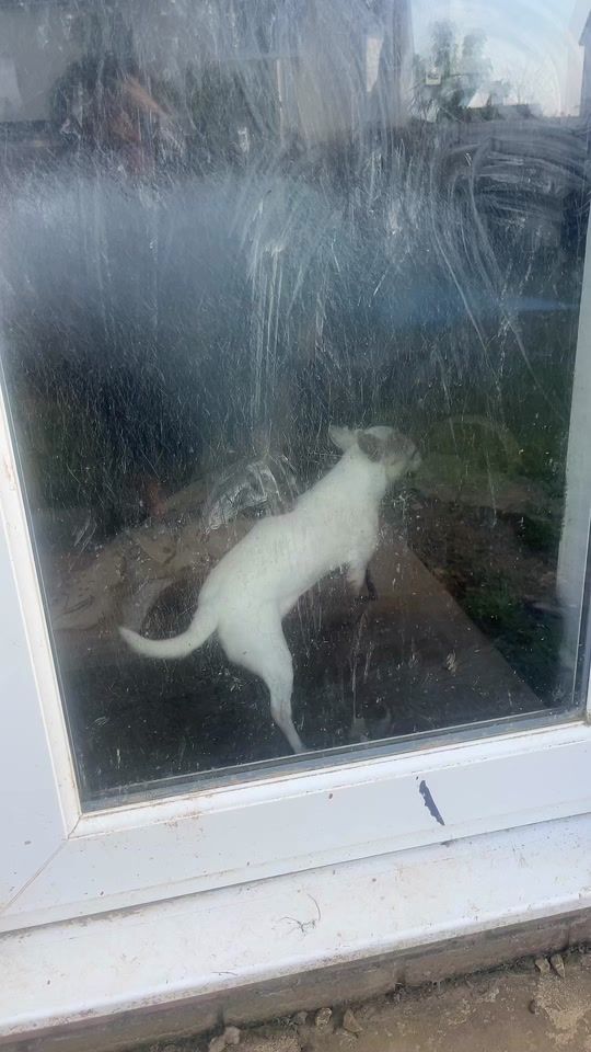 TikTok video thumbnail by paigeoboulton