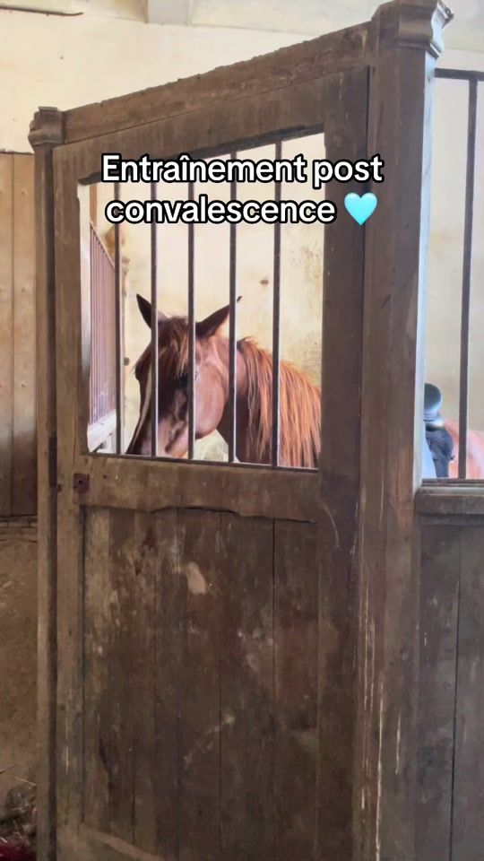 TikTok video thumbnail by galliannax