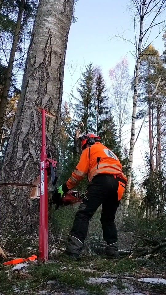 TikTok video thumbnail by puujaurakointi