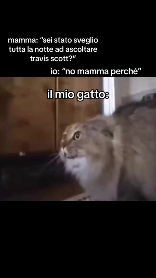 TikTok video thumbnail by samuelecrocenzi