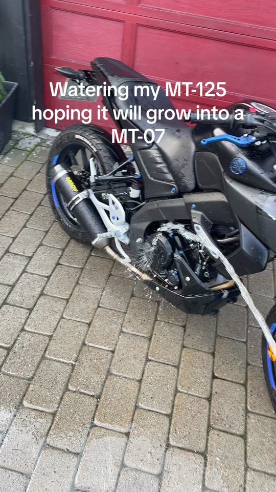 TikTok video thumbnail by mattipatti092