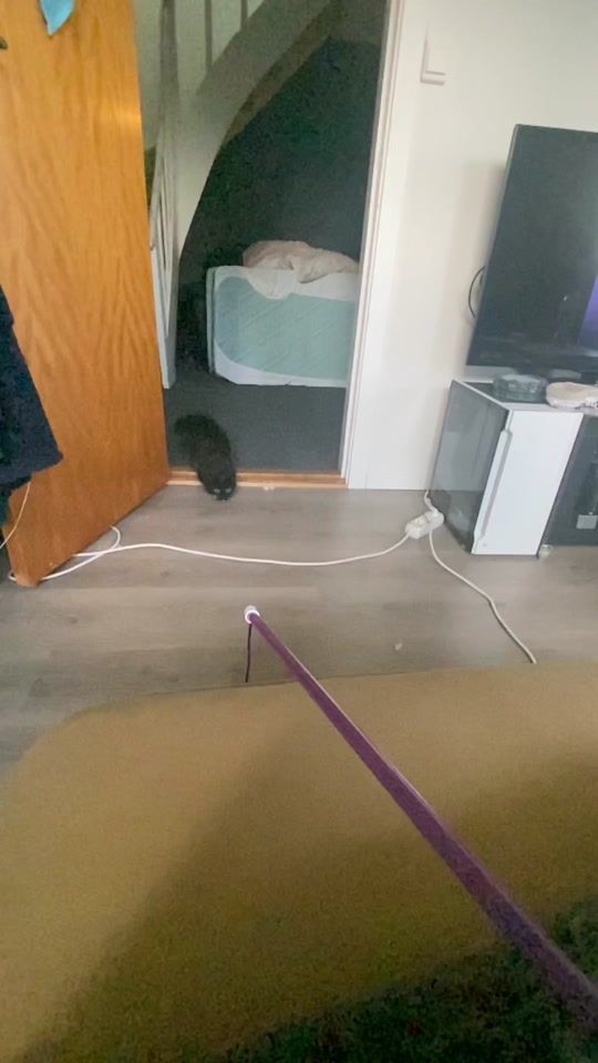 TikTok video thumbnail by qgmlg