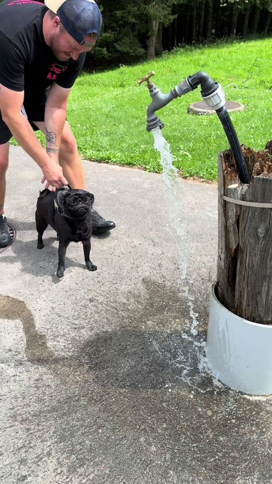 TikTok video thumbnail by knoopythepug