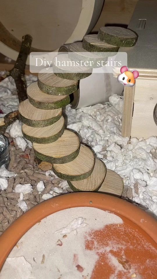 TikTok video thumbnail by hamster_mulle