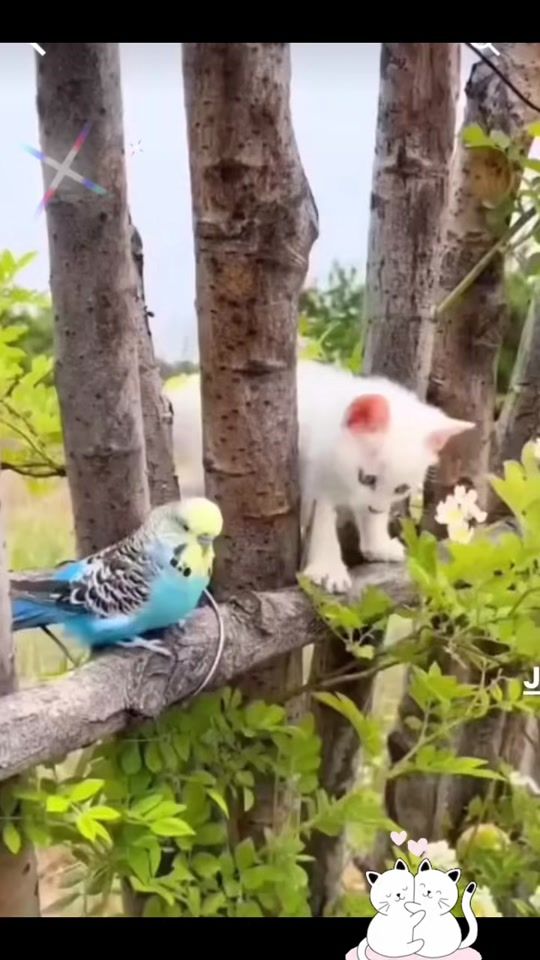 TikTok video thumbnail by bettyj1781026