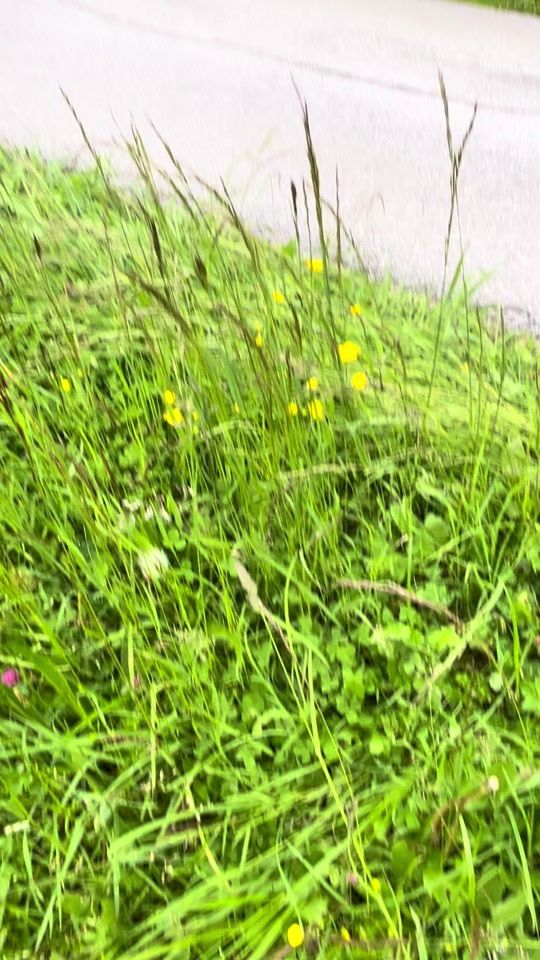 TikTok video thumbnail by baschtei123