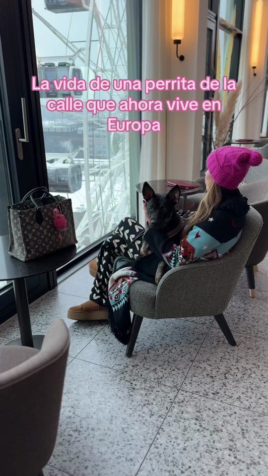 TikTok video thumbnail by wodkasoda