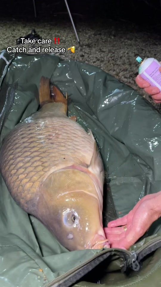 TikTok video thumbnail by vladfisherman_life