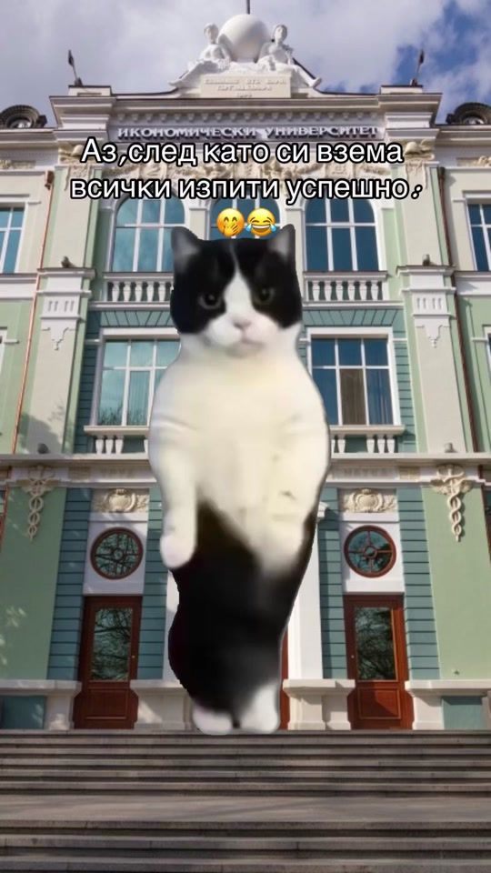 TikTok video thumbnail by versa_03