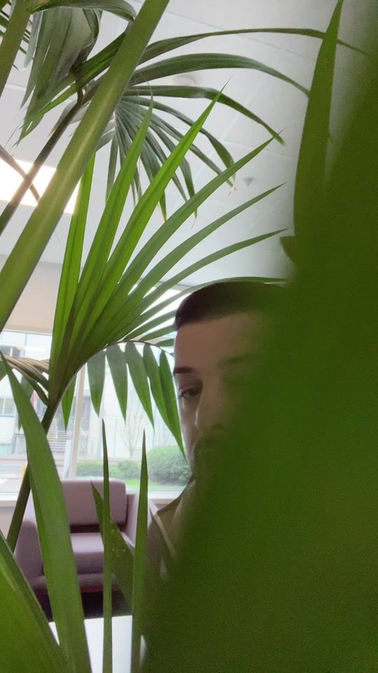 TikTok video thumbnail by moldovan.flaviu