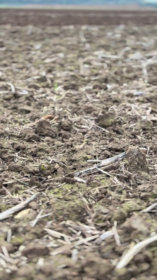 TikTok video thumbnail by agri6217