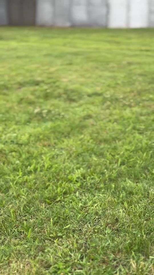 TikTok video thumbnail by francescotieri1