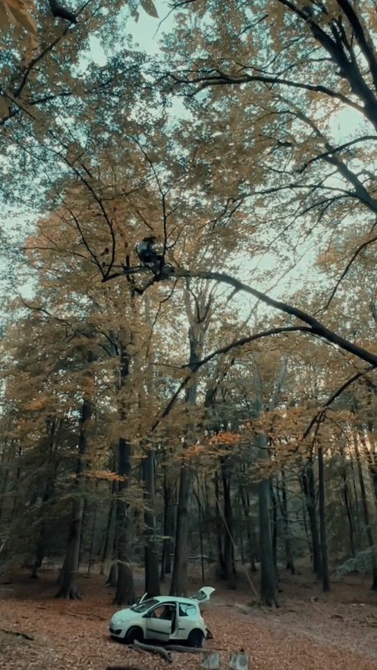 TikTok video thumbnail by artgrim78