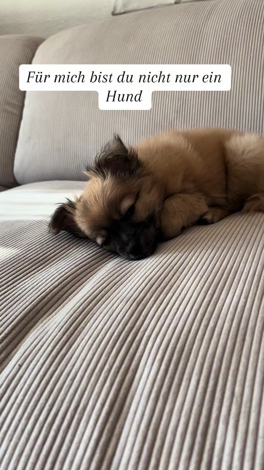 TikTok video thumbnail by nuecci