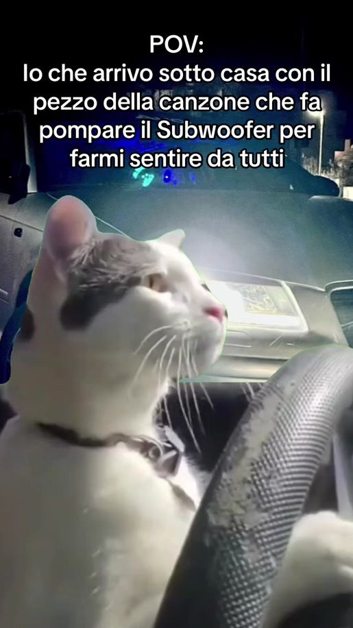 TikTok video thumbnail by jonnyview