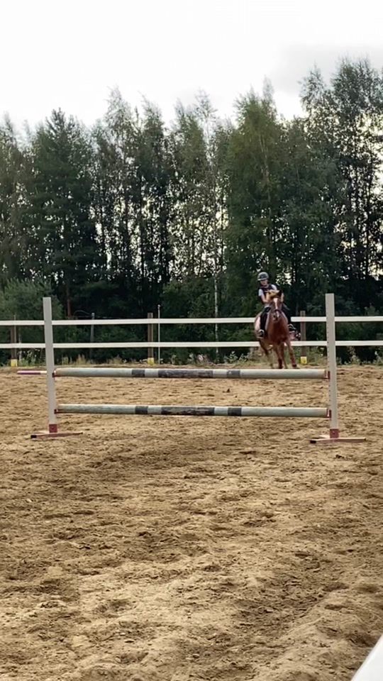 TikTok video thumbnail by eq.janette_