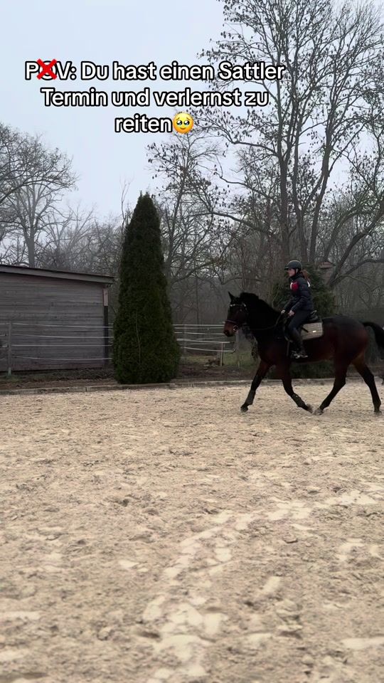 TikTok video thumbnail by .kr.equestrian
