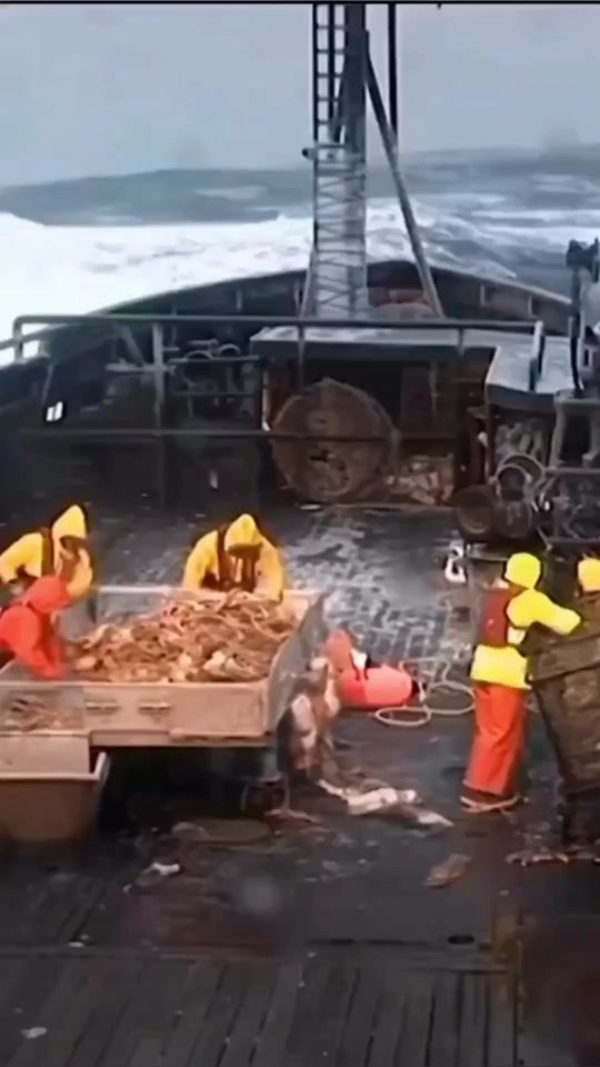 TikTok video thumbnail by om22976