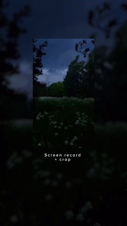 TikTok video thumbnail by xcroppxedx