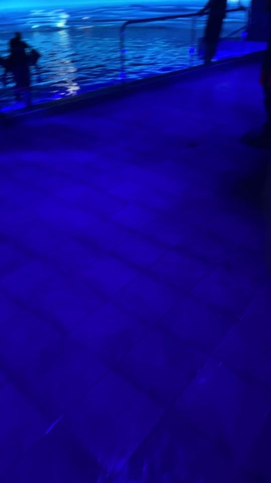 TikTok video thumbnail by gourdetmichael618