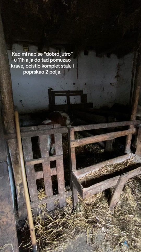 TikTok video thumbnail by opghorvat