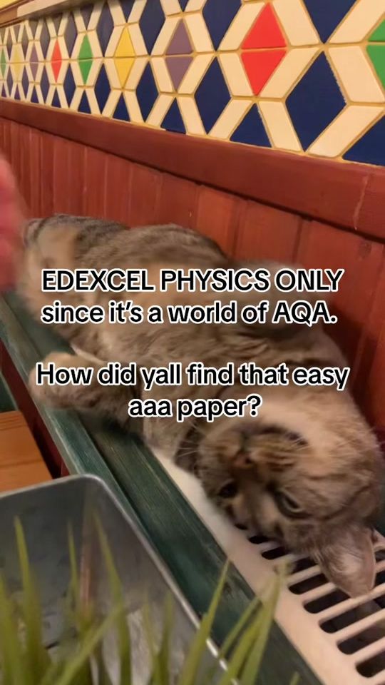 TikTok video thumbnail by mikkanmiku