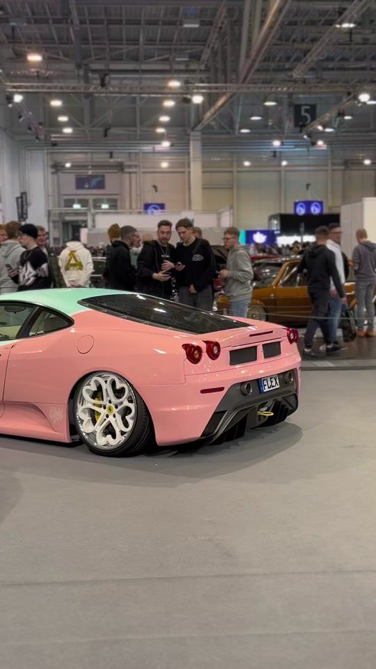 TikTok video thumbnail by spot_by_freddy