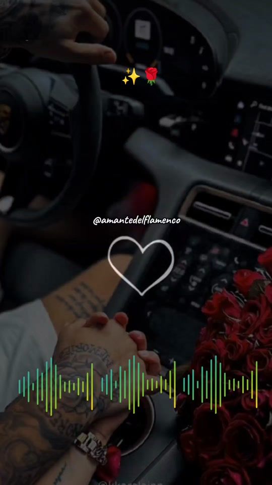 TikTok video thumbnail by amantedelflamenco