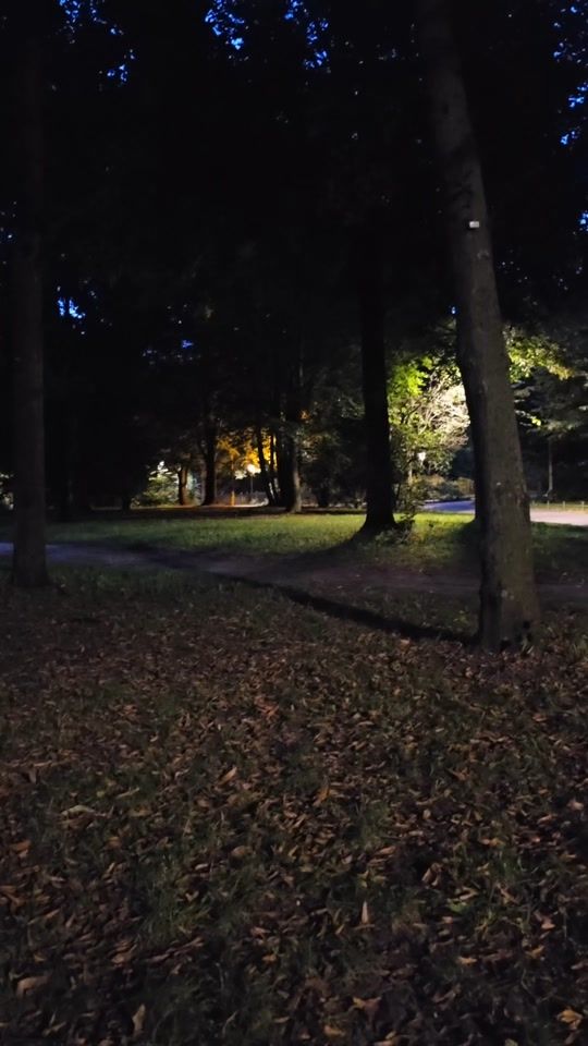 TikTok video thumbnail by rose.alotos