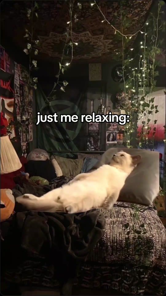 TikTok video thumbnail by theskinlessone